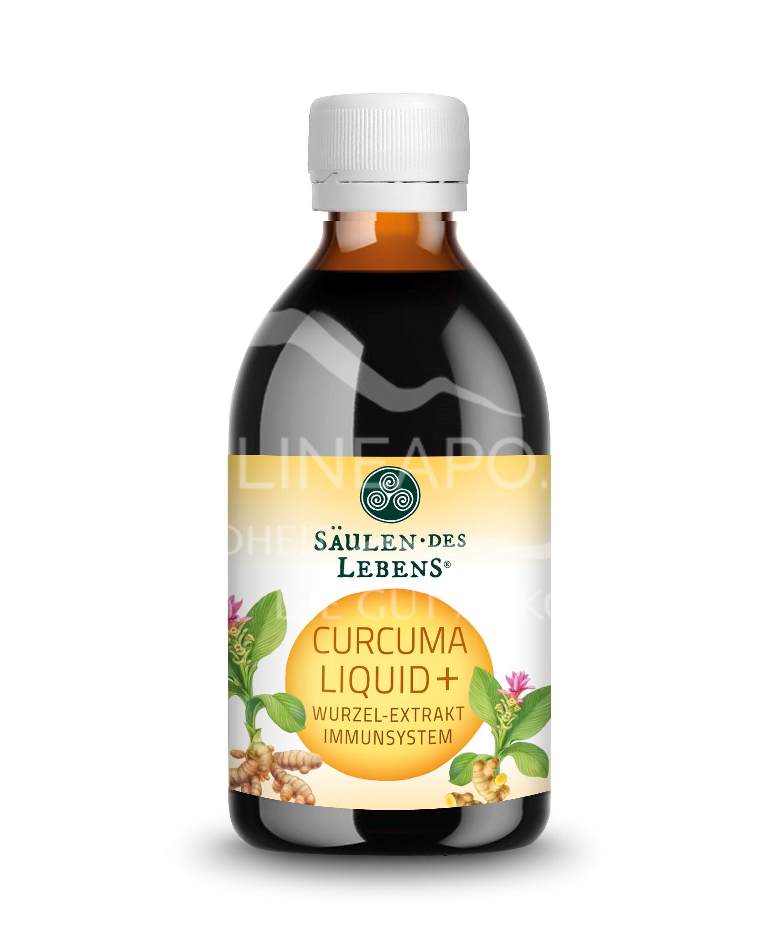 Säulen des Lebens Curcuma Liquid+ Wurzel-Extrakt Immunsystem