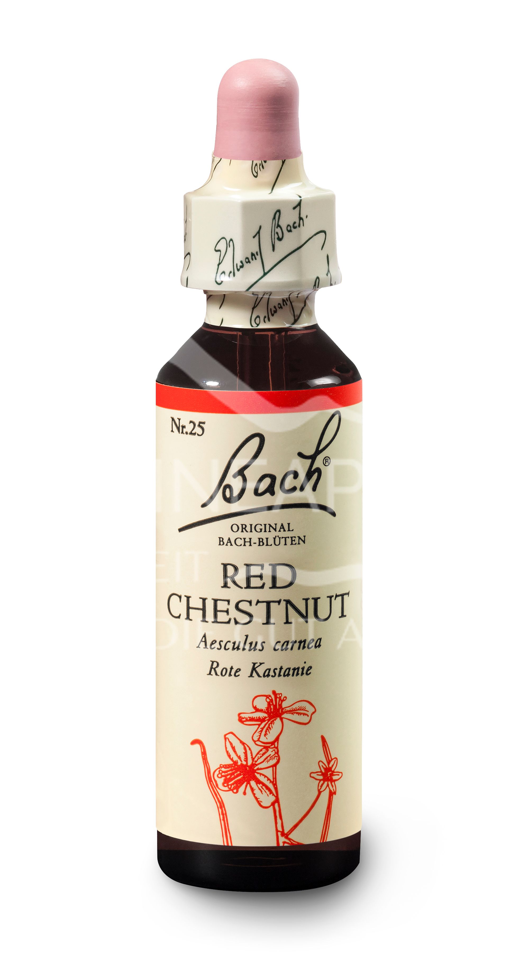 Bach®-Blüte Nr. 25 Red Chestnut (Rote Kastanie) Tropfen