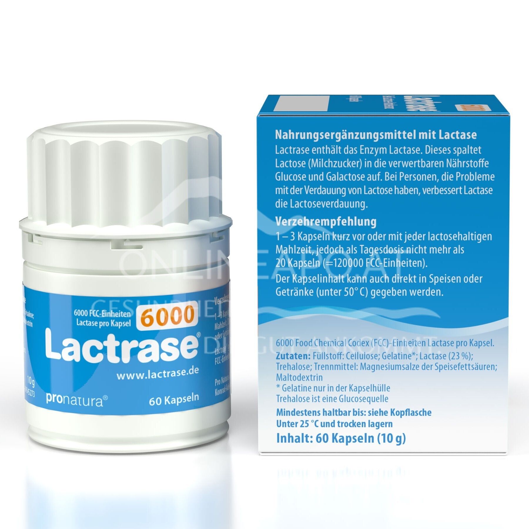 Lactrase® 6000 FCC Kapseln