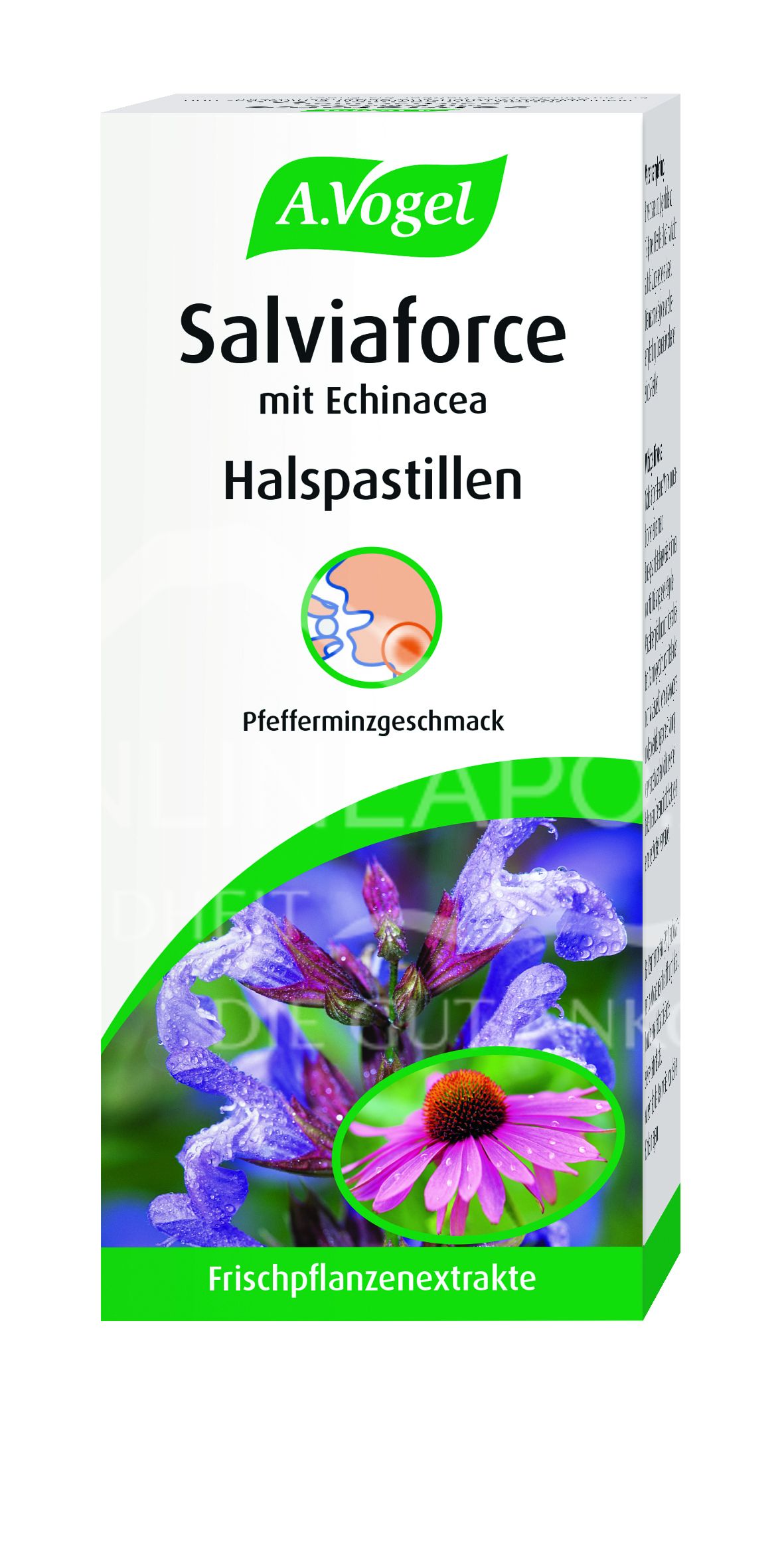 A.Vogel Salviaforce mit Echinacea Halspastillen