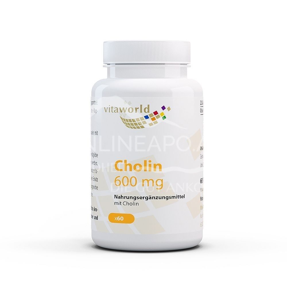 Vitaworld Cholin 600 mg Kapseln
