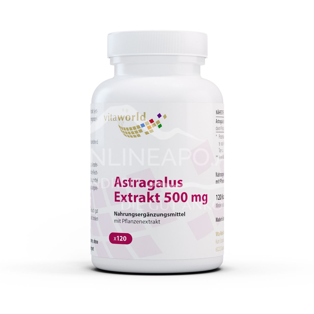 Vitaworld Astragalus Extrakt 500 mg Kapseln