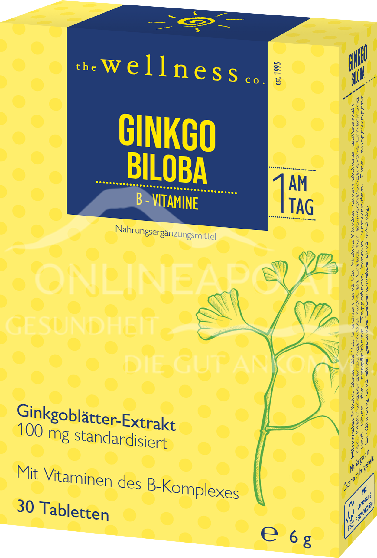 Wellness GINKGO BILOBA + B-VITAMINE Tabletten