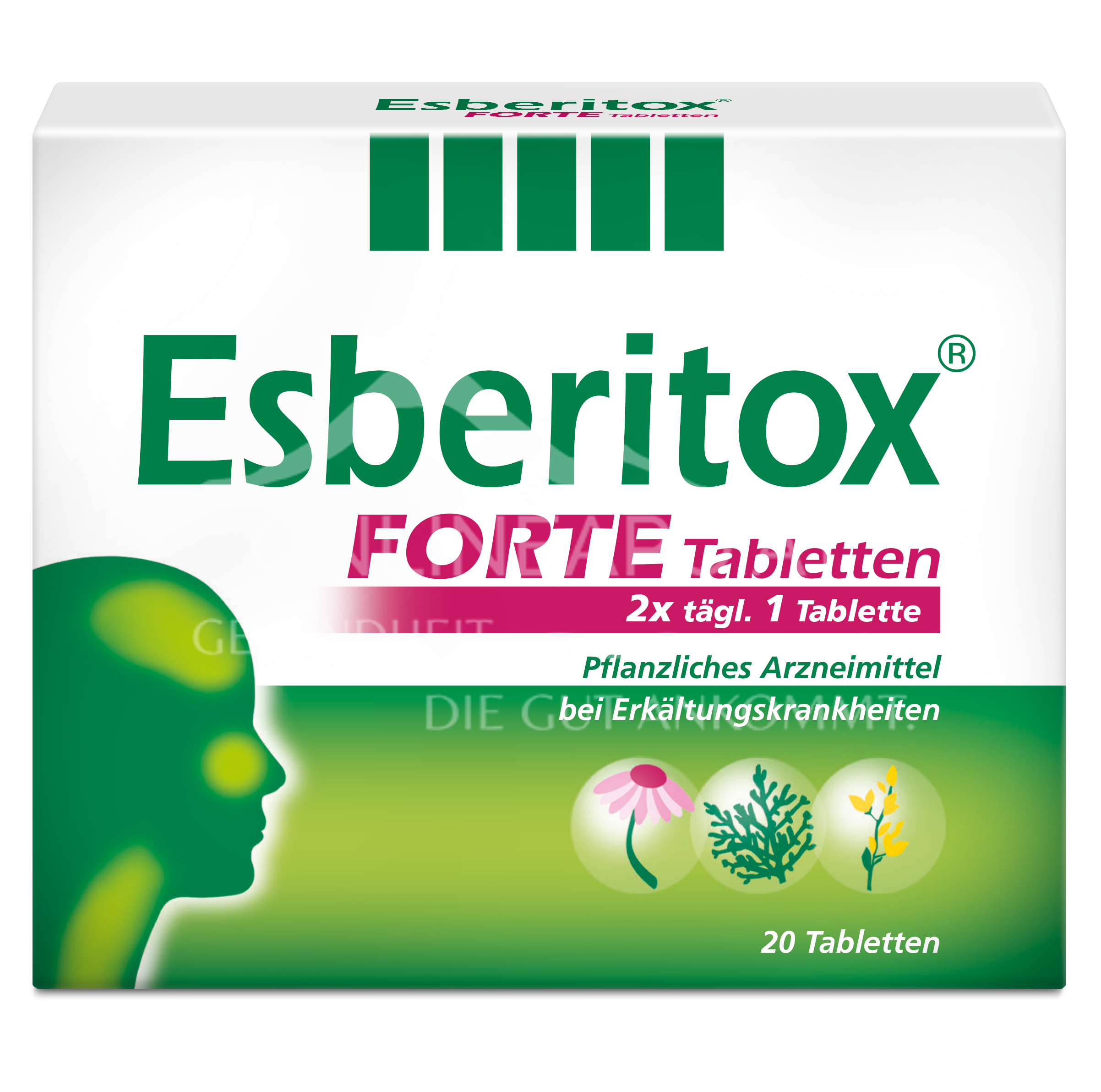 Esberitox® forte Tabletten