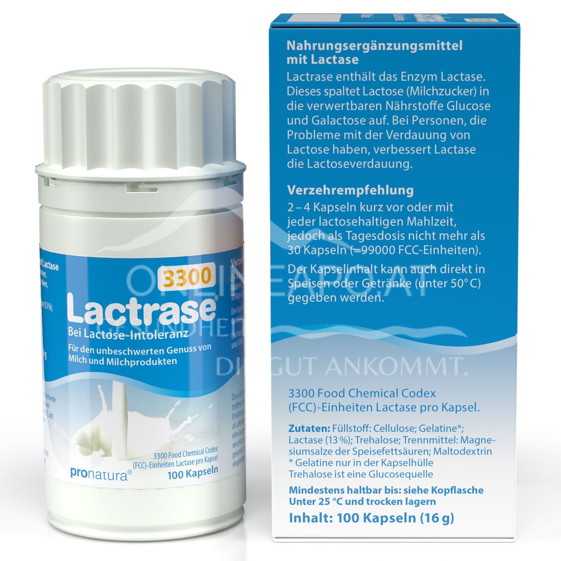 Lactrase® 3300 FCC Kapseln