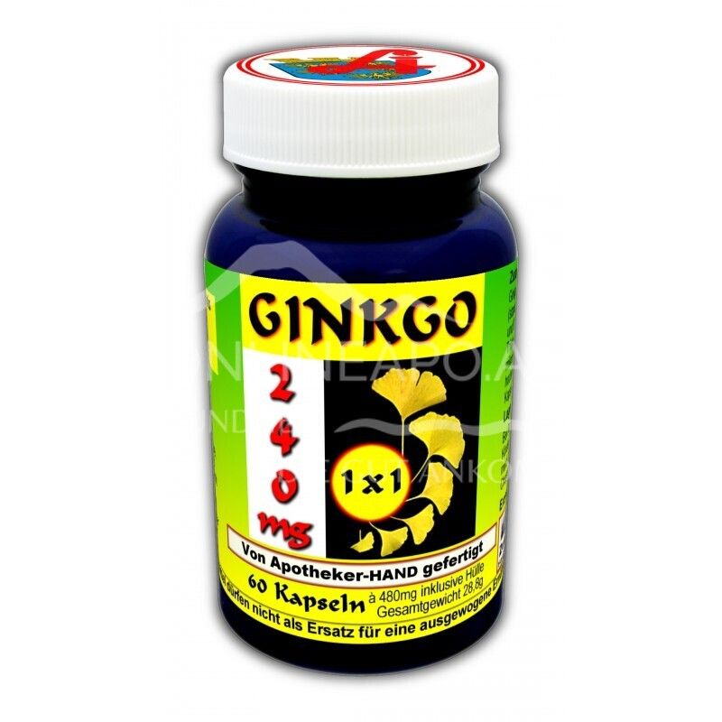 Ginkgo 240 mg 1 x 1 täglich Kapseln