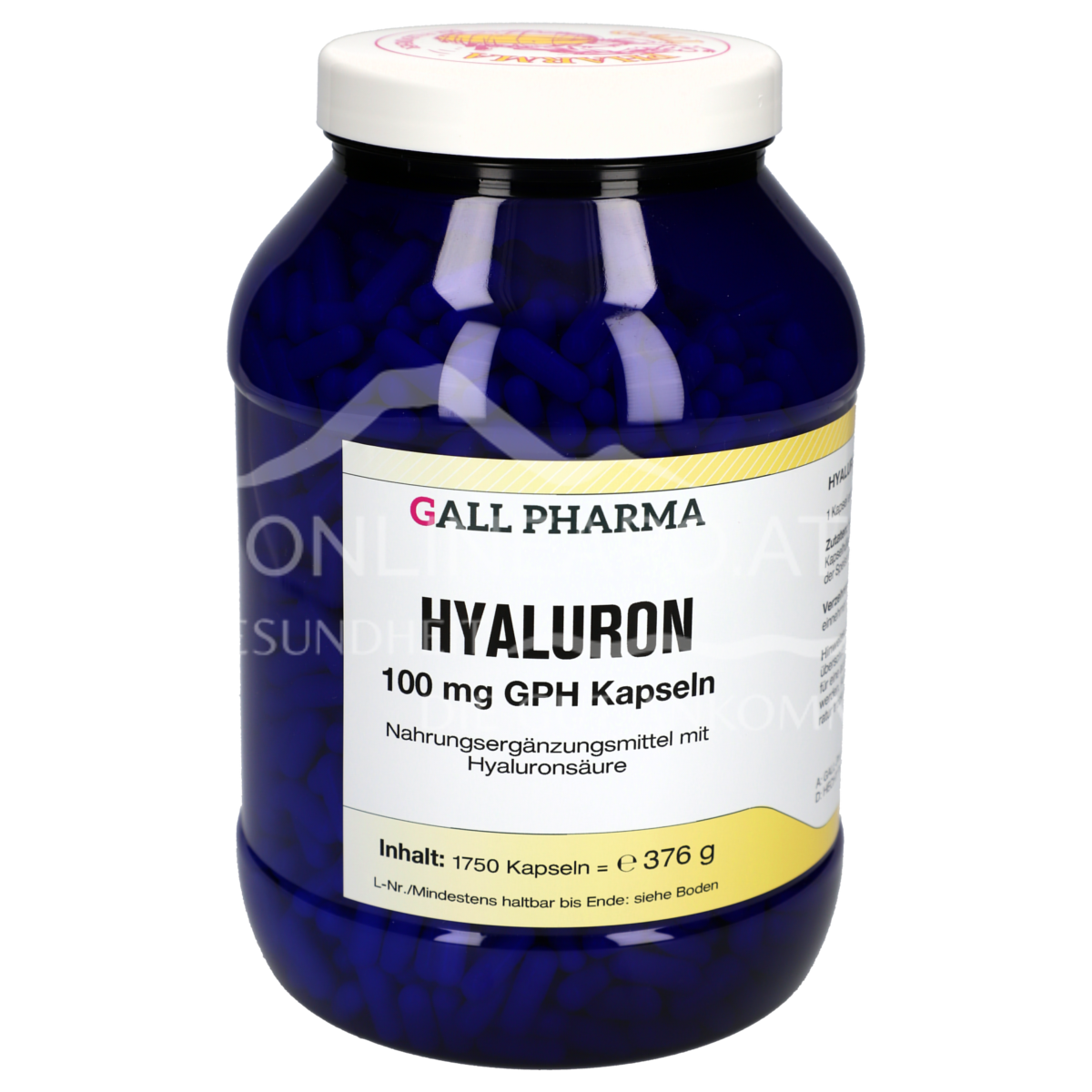 Gall Pharma Hyaluron 100 mg Kapseln