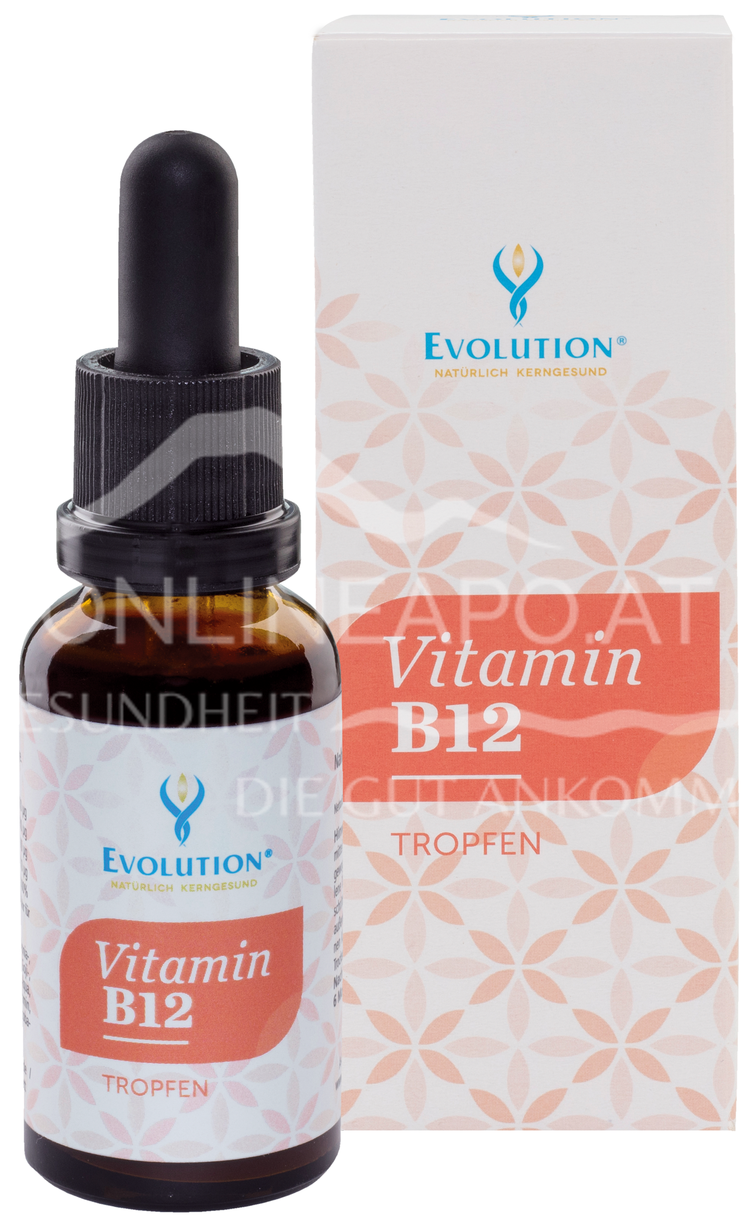 EVOLUTION Vitamin B12 Tropfen