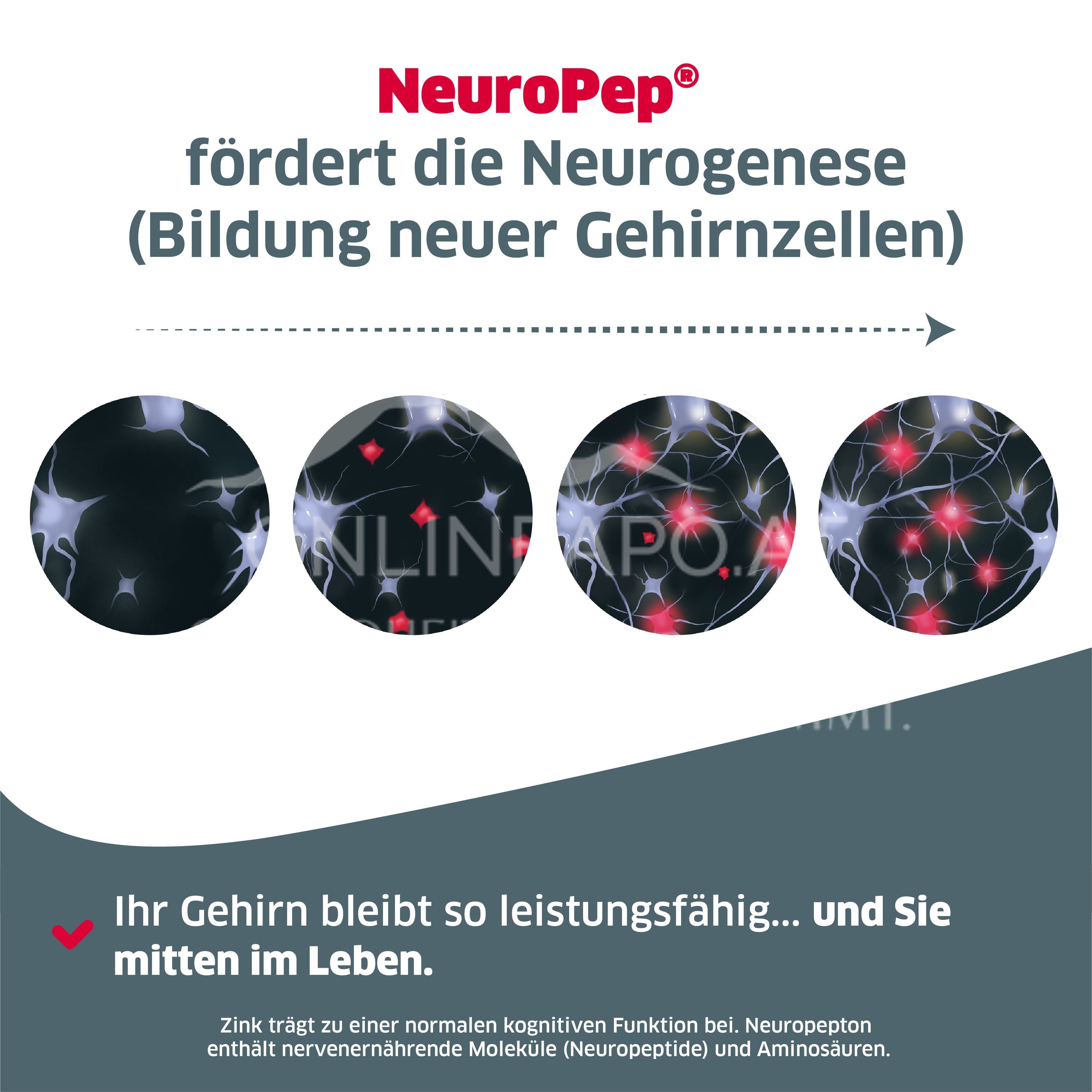 NeuroPep Neuropepton-Zink-Komplex Kapseln
