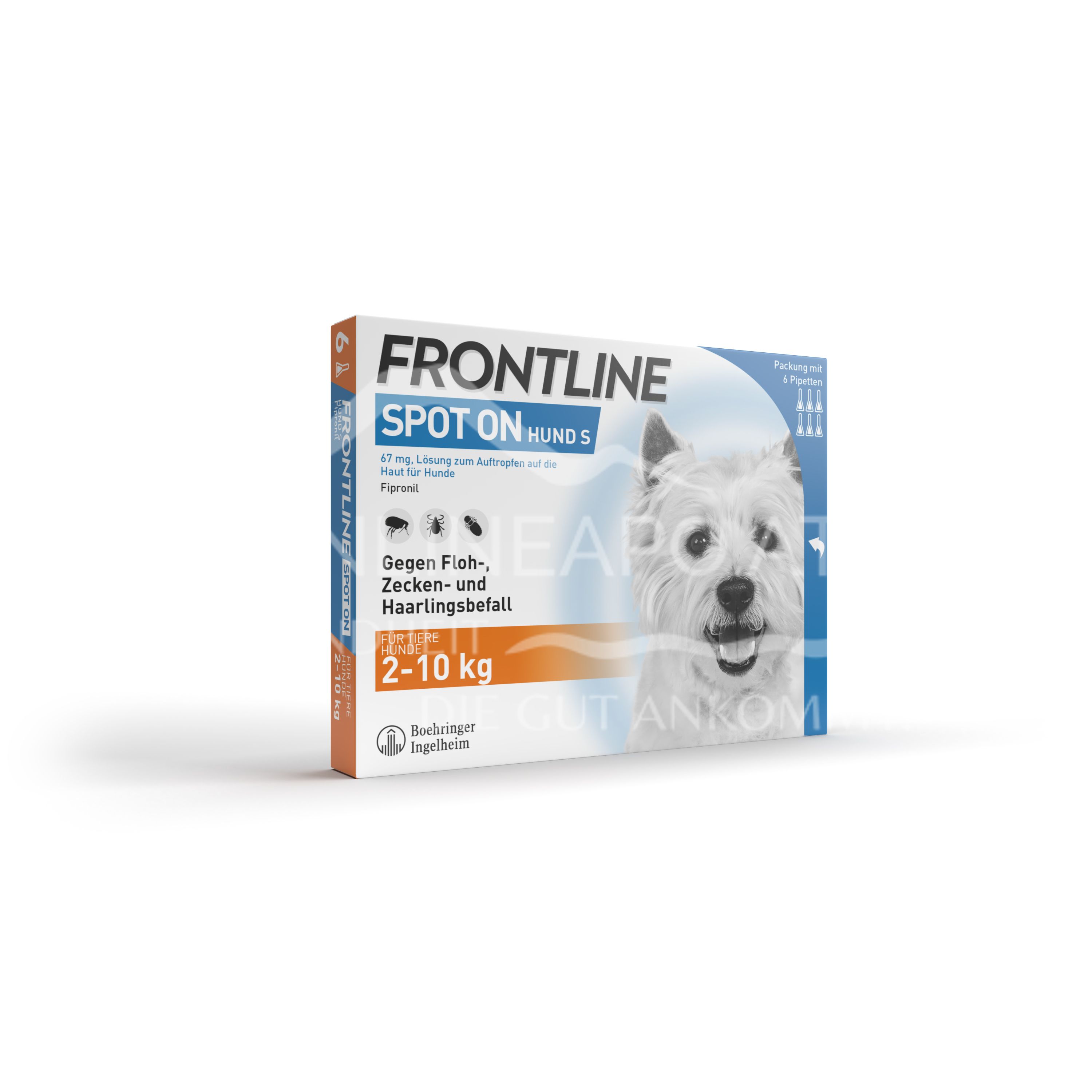 Frontline Spot on Kleine Hunde 67 mg Lösung zum Auftropfen auf die Haut