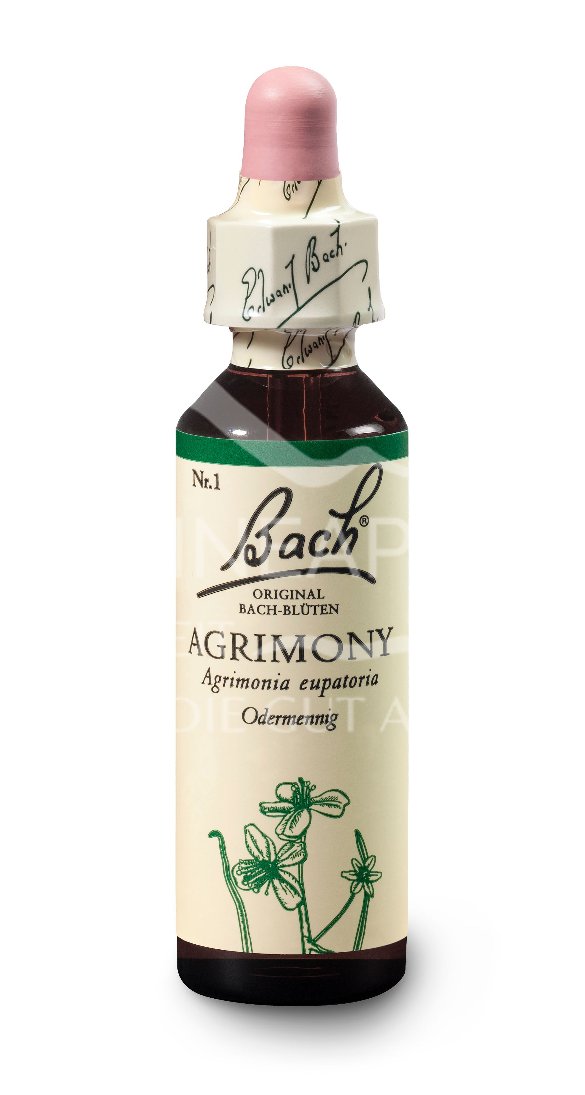 Bach®-Blüte Nr. 1 Agrimony (Odermenning) Tropfen