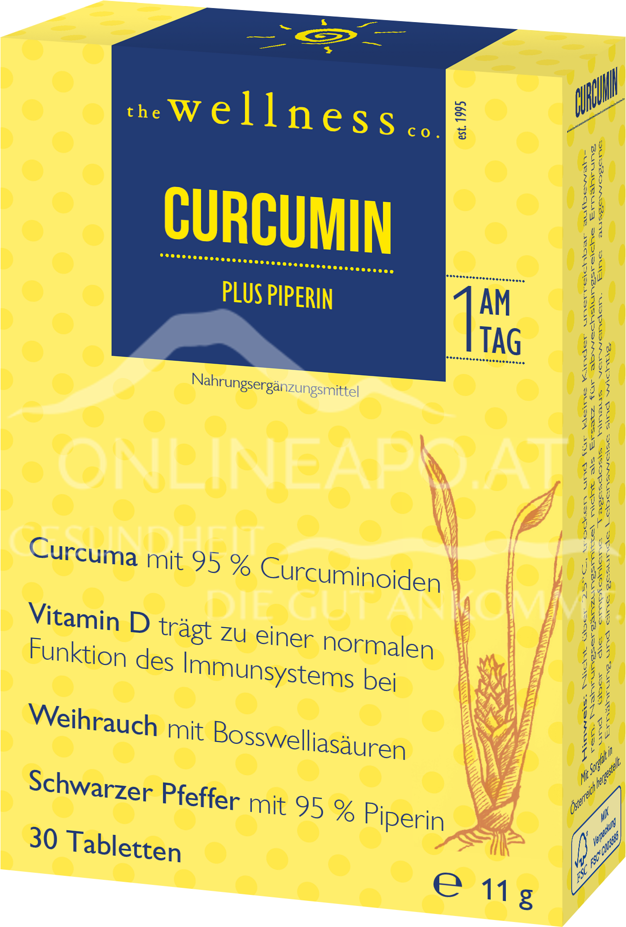 Wellness Curcumin + Piperin + Weihrauch + Vitamin D Tabletten