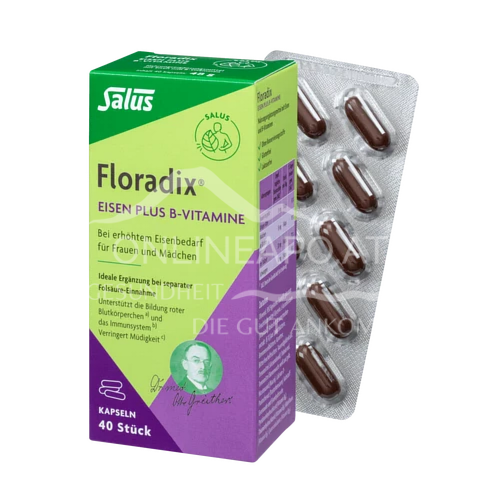 Salus Floradix Eisen plus B-Vitamine Kapseln