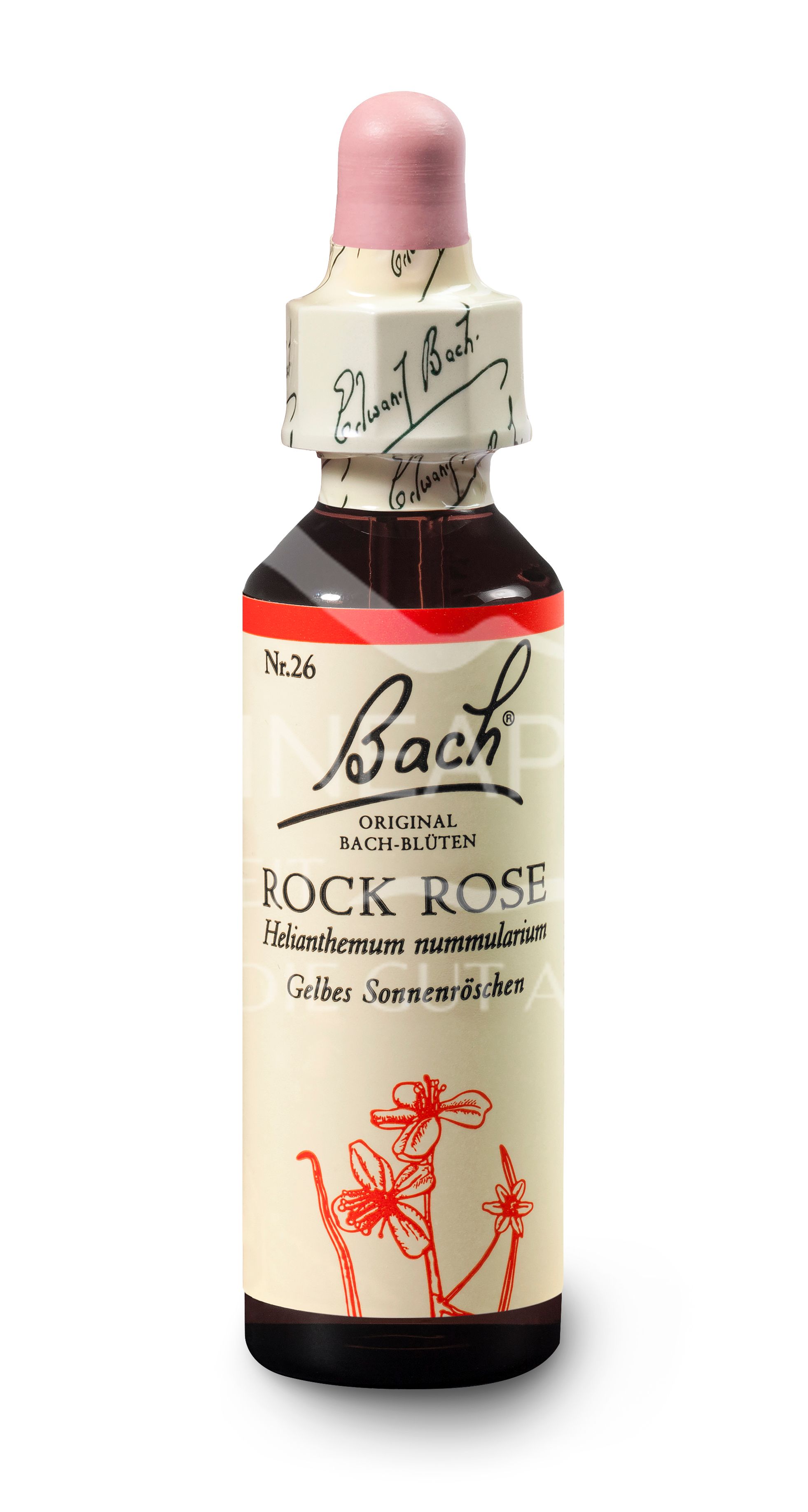 Bach®-Blüte Nr. 26 Rock Rose (Gelbes Sonnenröschen) Tropfen