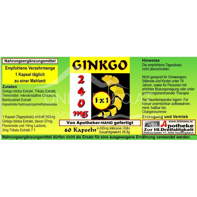 Ginkgo 240 mg 1 x 1 täglich Kapseln