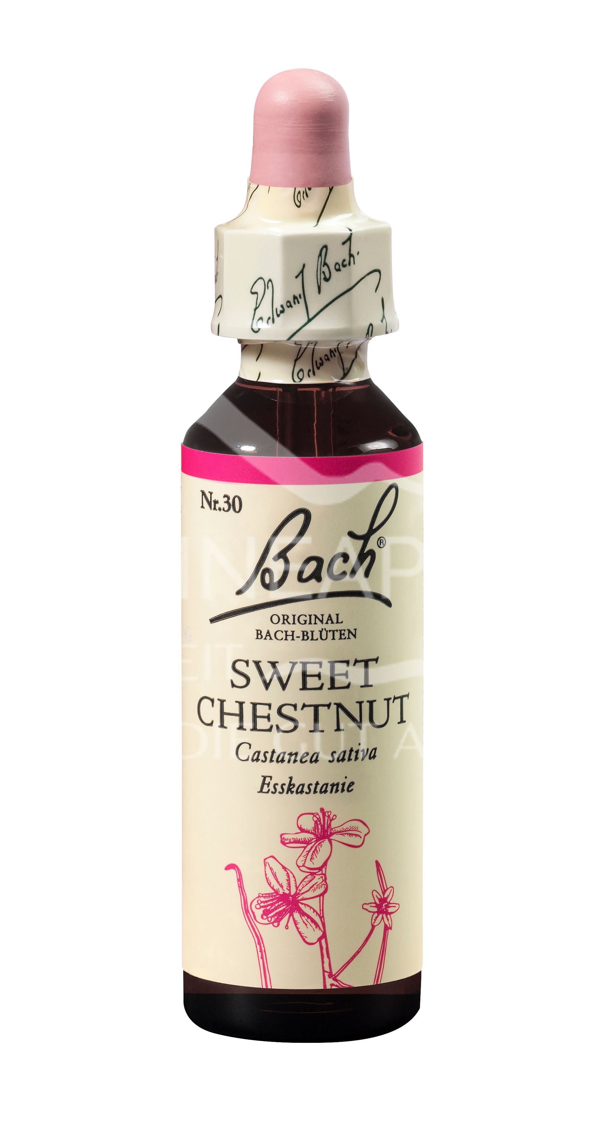 Bach®-Blüte Nr. 30 Sweet Chestnut (Esskastanie) Tropfen