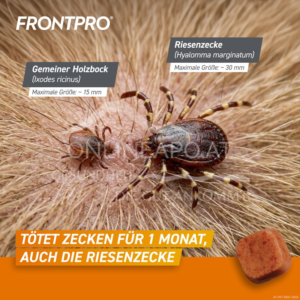 FRONTPRO® 28 mg chewable tablets for dogs > 4 - 10 kg