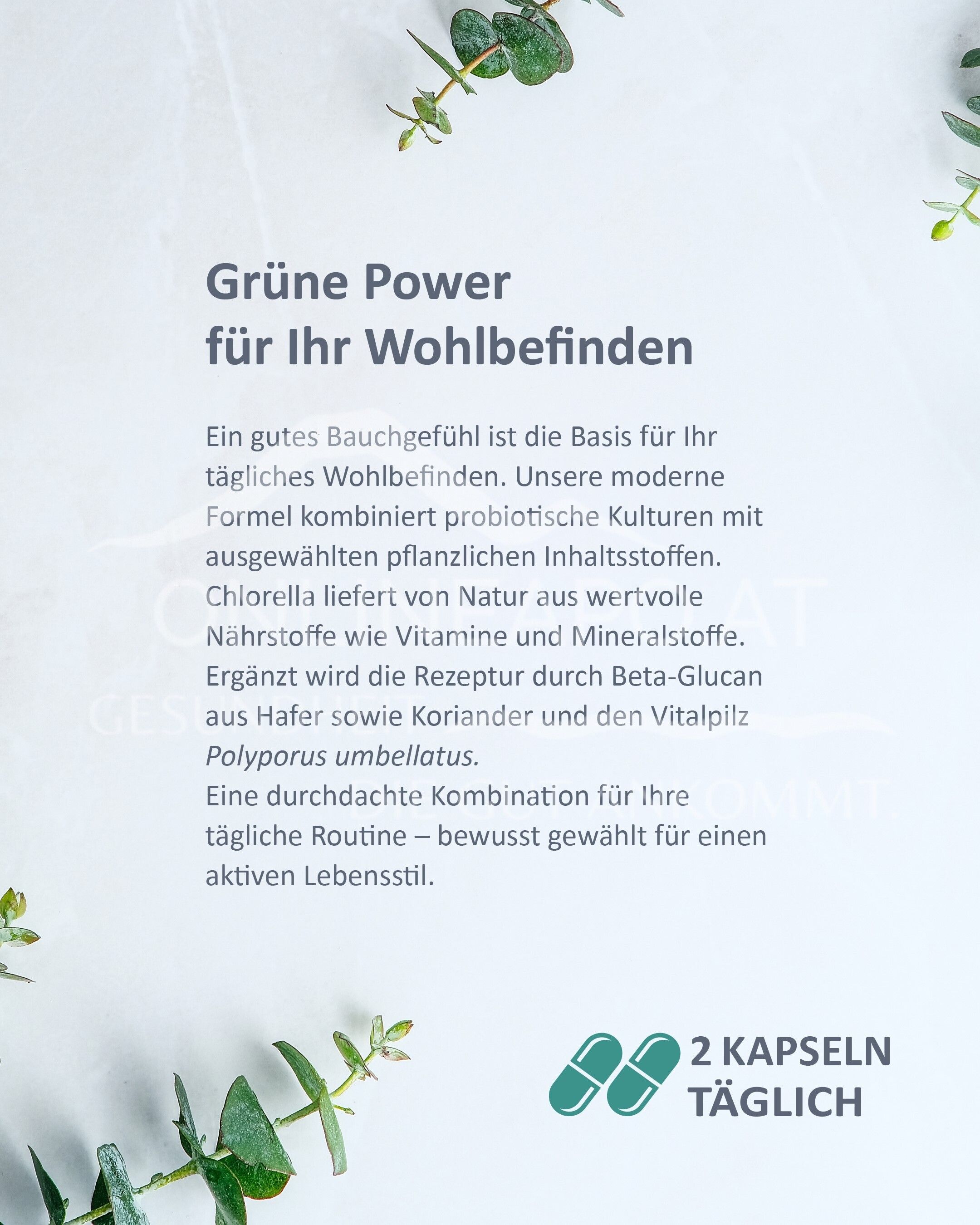 SABE sana Stoffwechsel Kapseln
