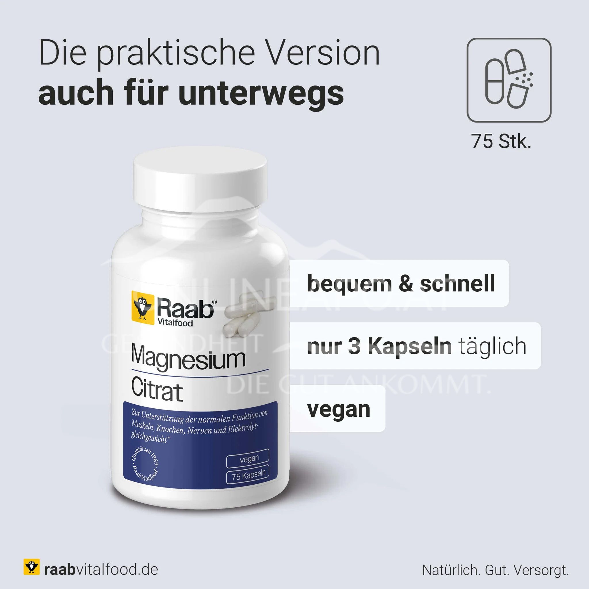 Raab® Vitalfood Magnesiumcitrat Kapseln