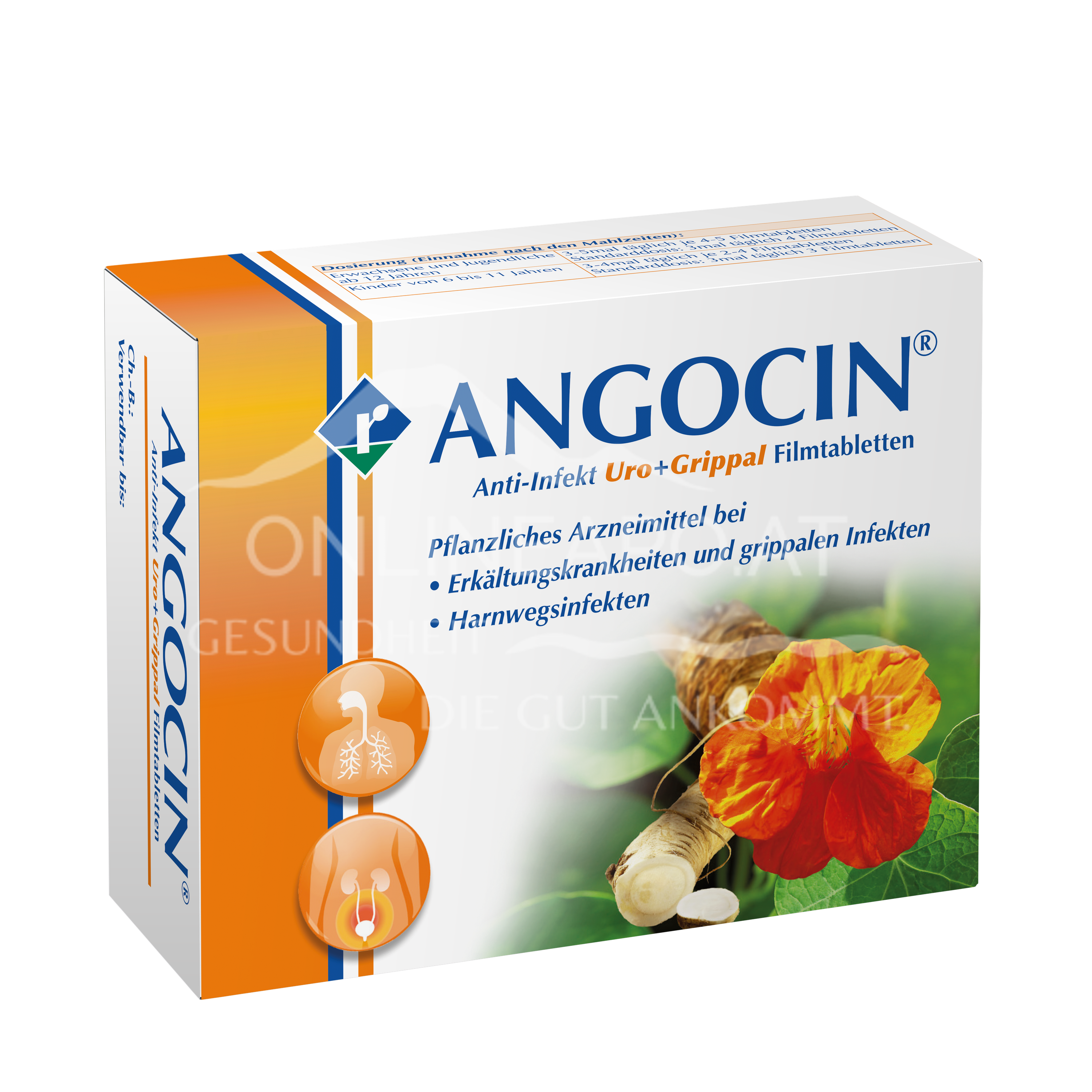 ANGOCIN® Anti-Infekt Uro+Grippal Filmtabletten