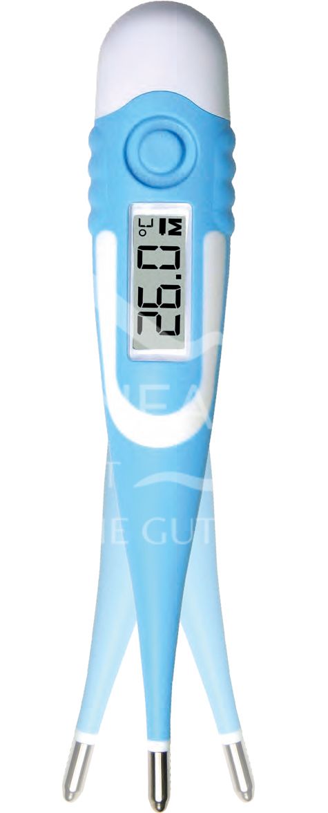 Kozbach Pharma Digital Flex-Express Fieberthermometer
