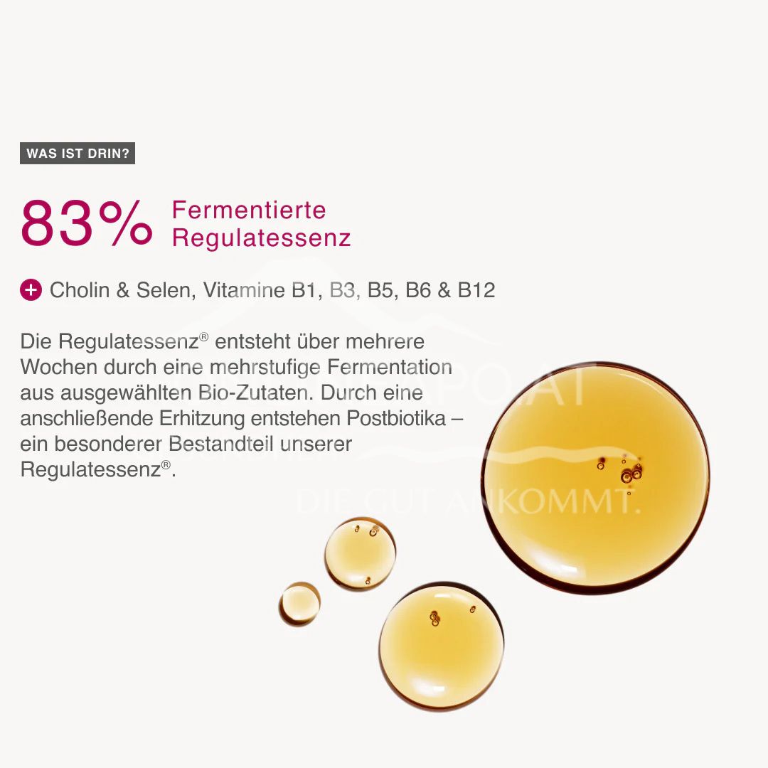 Dr. Niedermaier Regulatpro® Active X Konzentrat