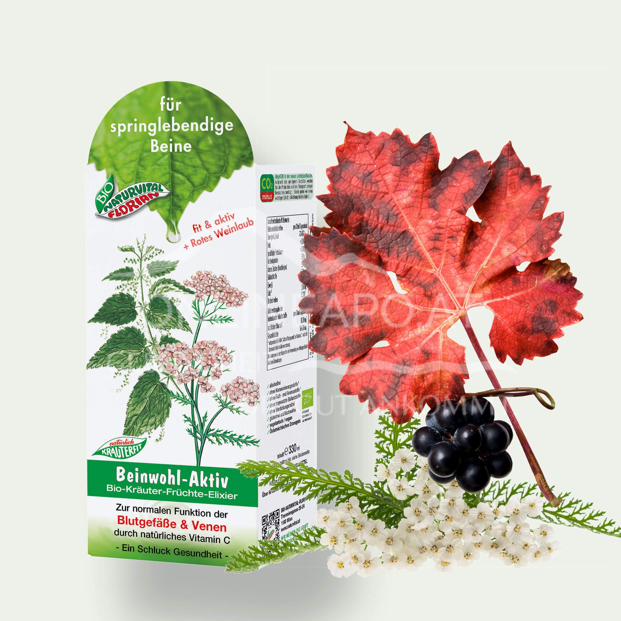 Bio Naturvital Florian Beinwohl Aktiv Bio-Kräuter-Früchte-Elixier