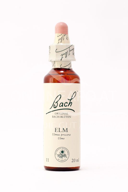 Dr. Bach® Original Bachblüten 11 Elm (Ulme) Tropfen