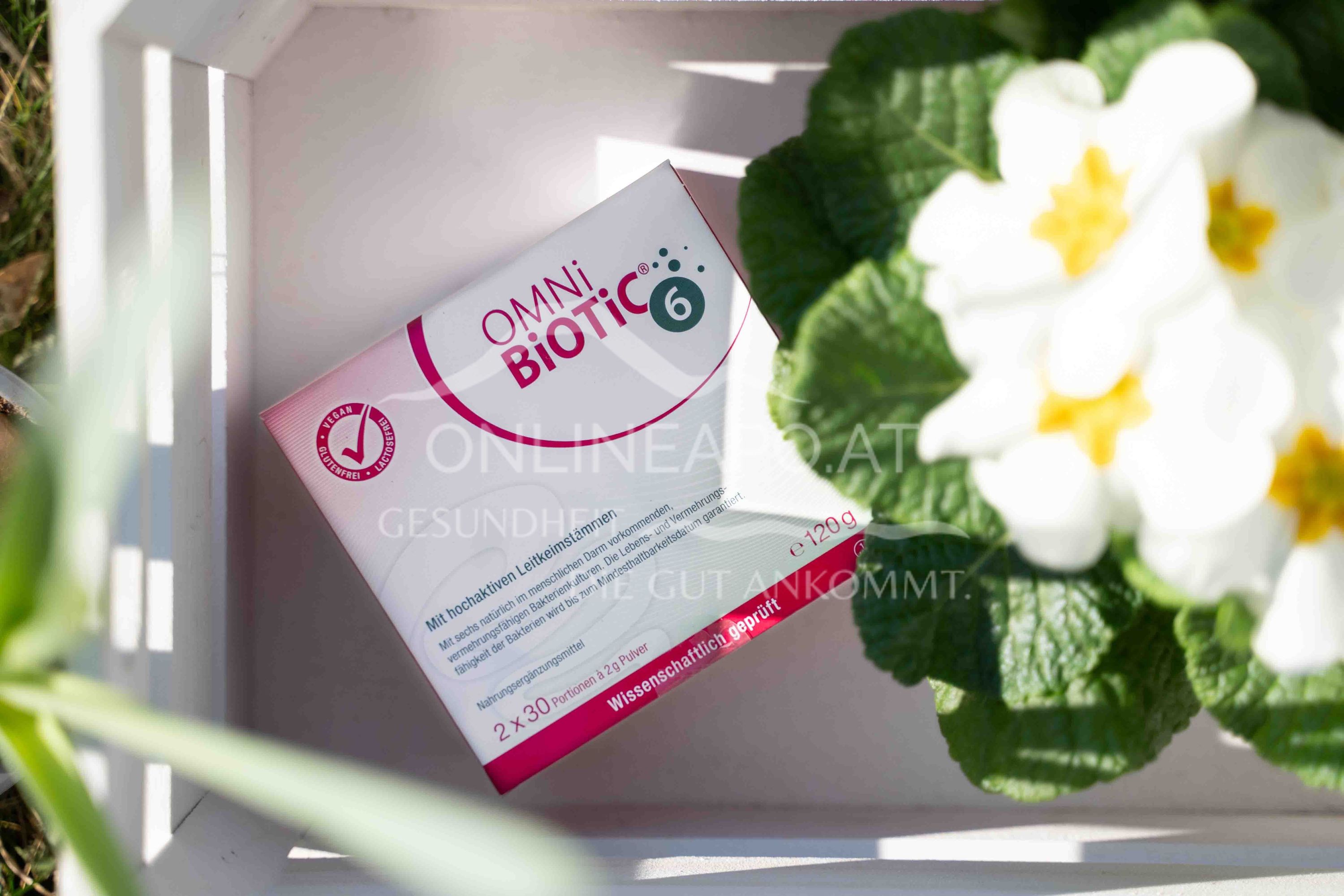 OMNi-BiOTiC® 6 powder