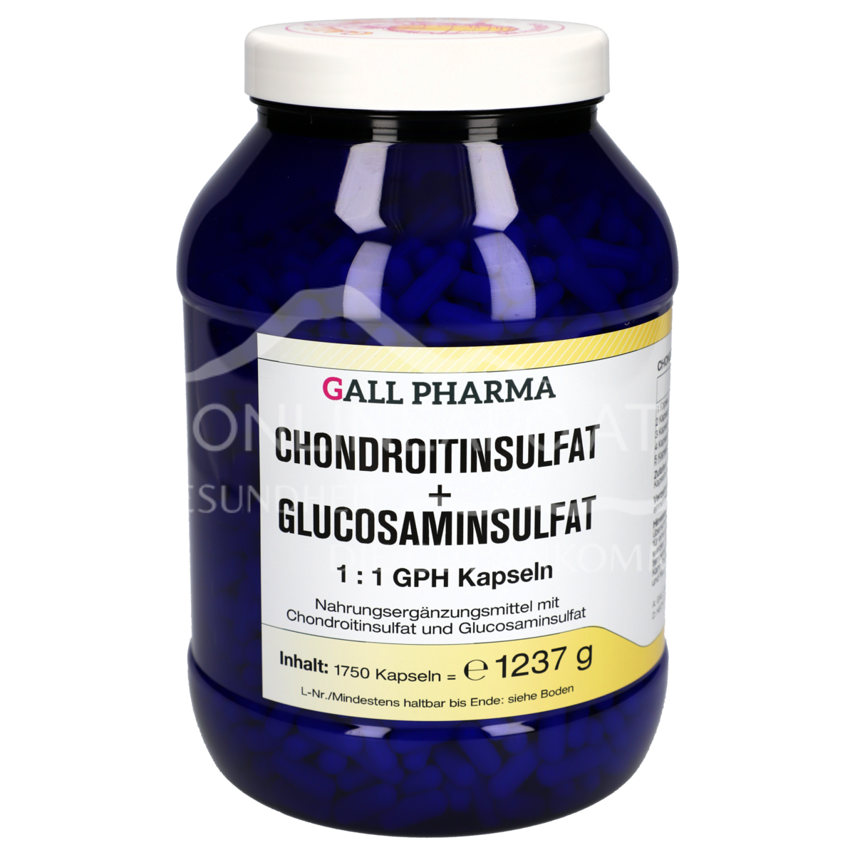 Gall Pharma chondroitin sulphate / glucosamine sulphate capsules