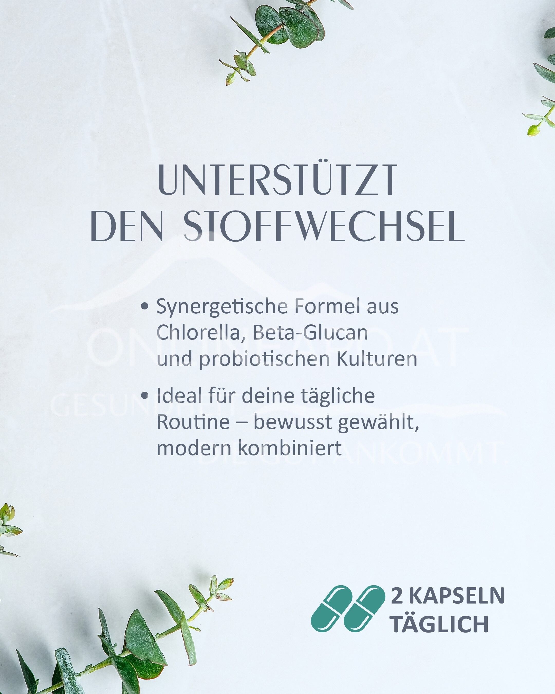 SABE sana Stoffwechsel Kapseln