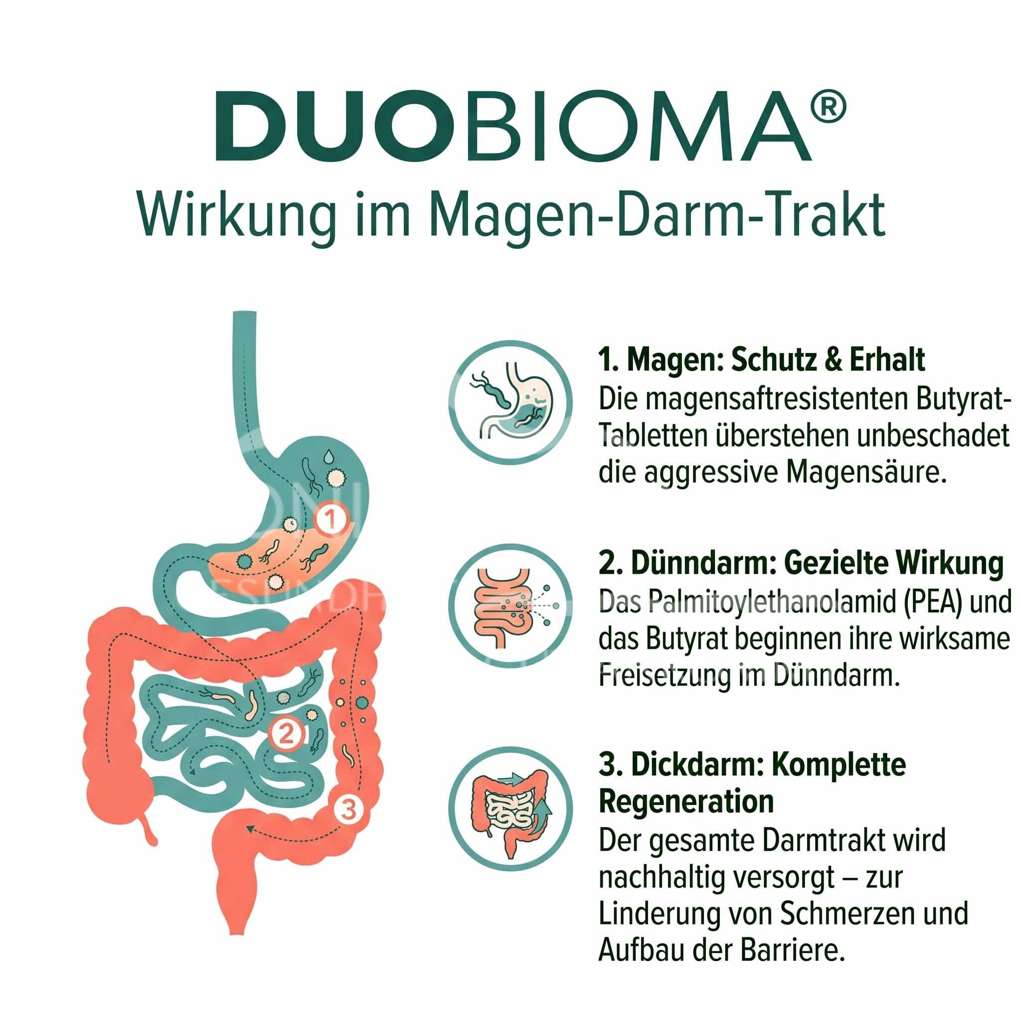SABE belle BIOMALIFE® DUOBIOMA Tabletten, 2 x 15 Stück