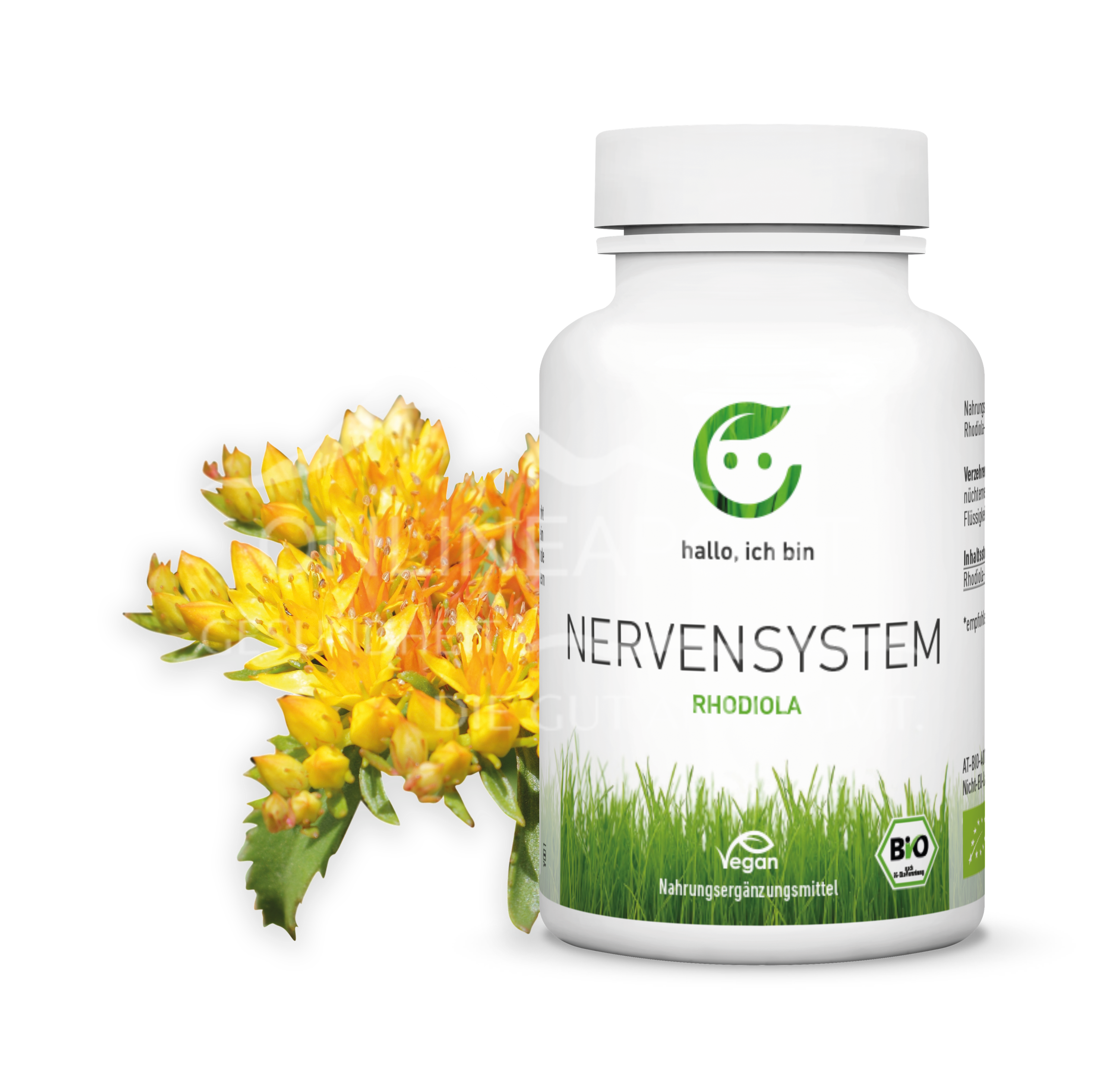 Hello, I am Rhodiola capsules