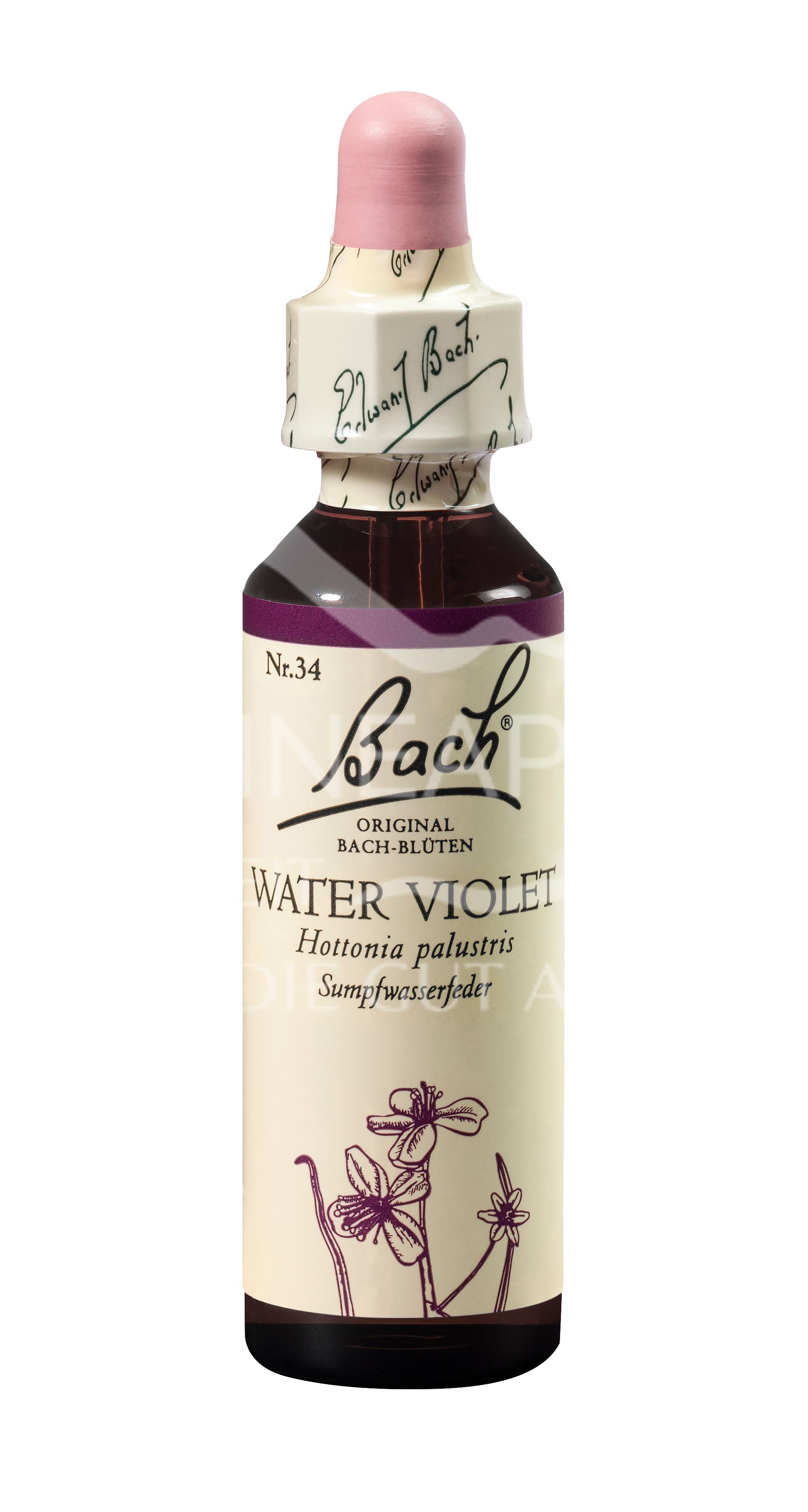 Bach®-Blüte Nr. 34 Water Violet (Sumpfwasserfeder) Tropfen