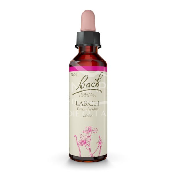 Bach®-Blüte Nr. 19 Larch (Lärche) Tropfen