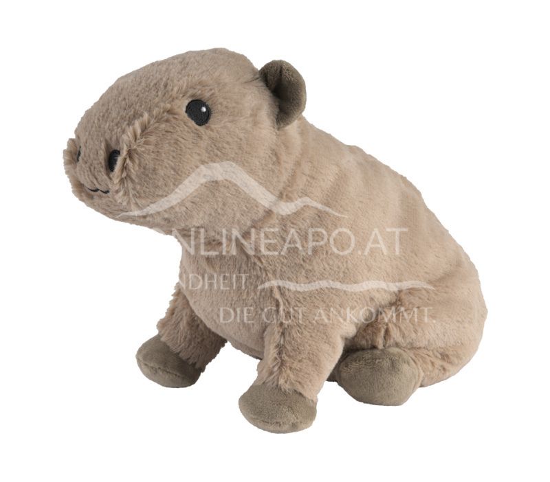 Warmies Capybara soft toy