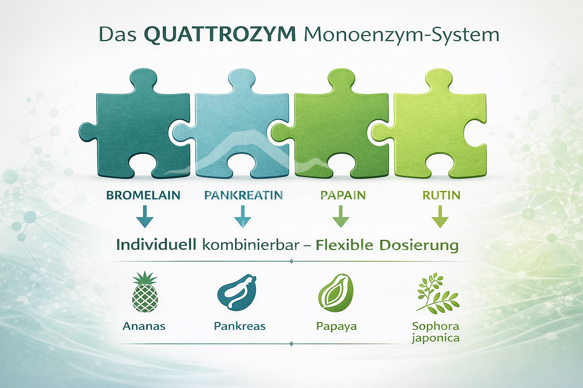 Vitalsee Quattrozym - 4 Enzyme Kurpackung 4 x 60 Kapseln