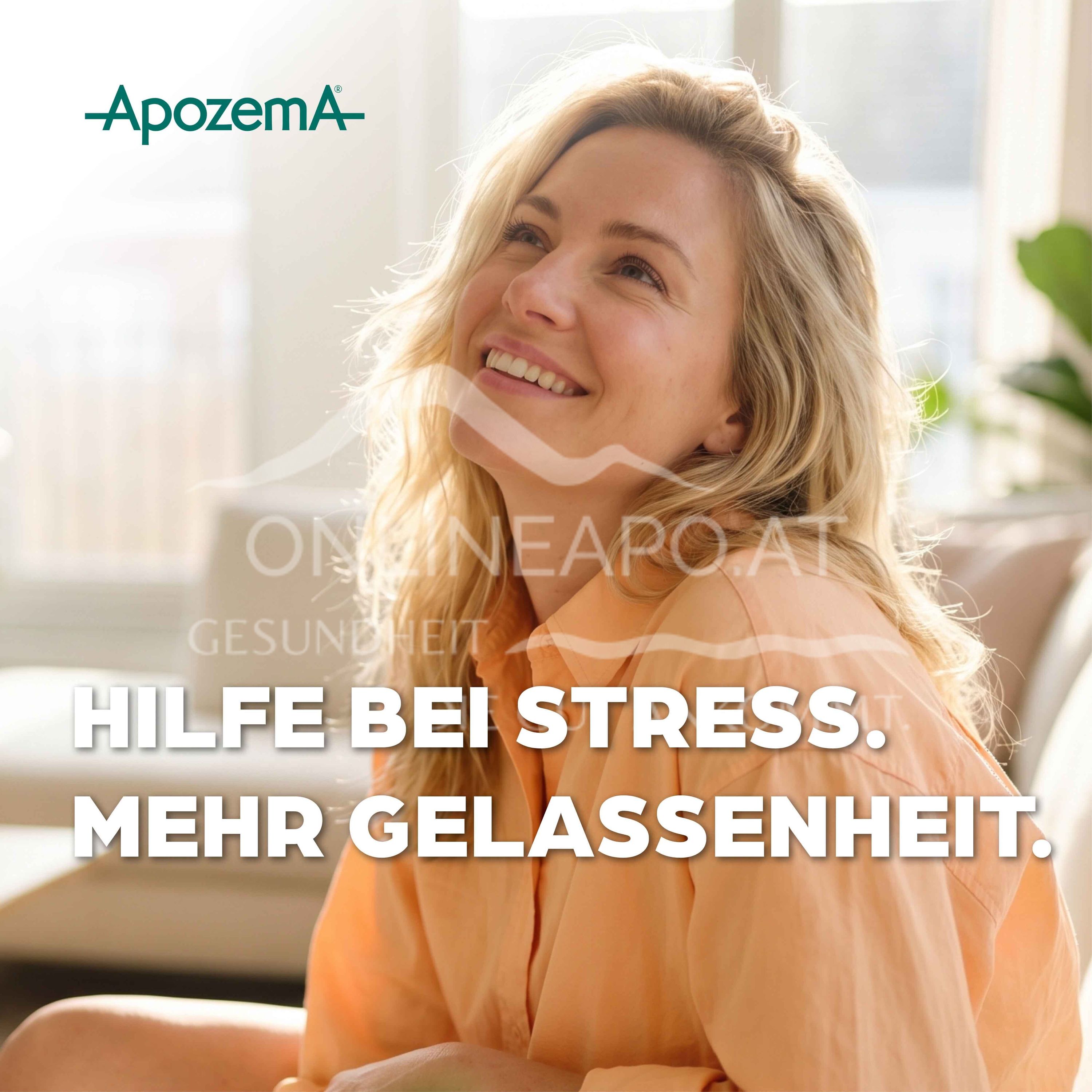 Apozema® Stress and Nerves Lycopus virginicus complex No. 33 drops for oral use