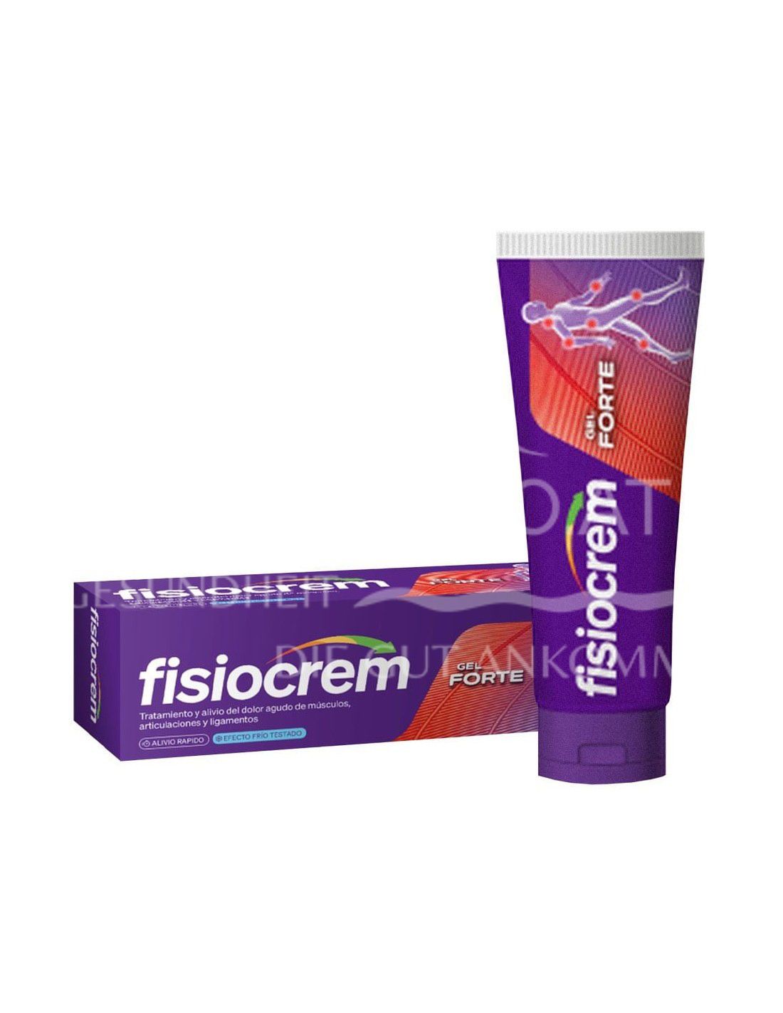 fisiocrem Gel Forte