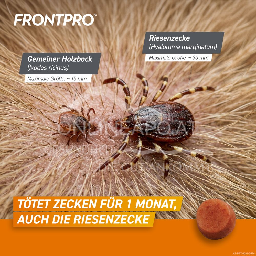 FRONTPRO® 11 mg chewable tablets for dogs 2 - 4 kg