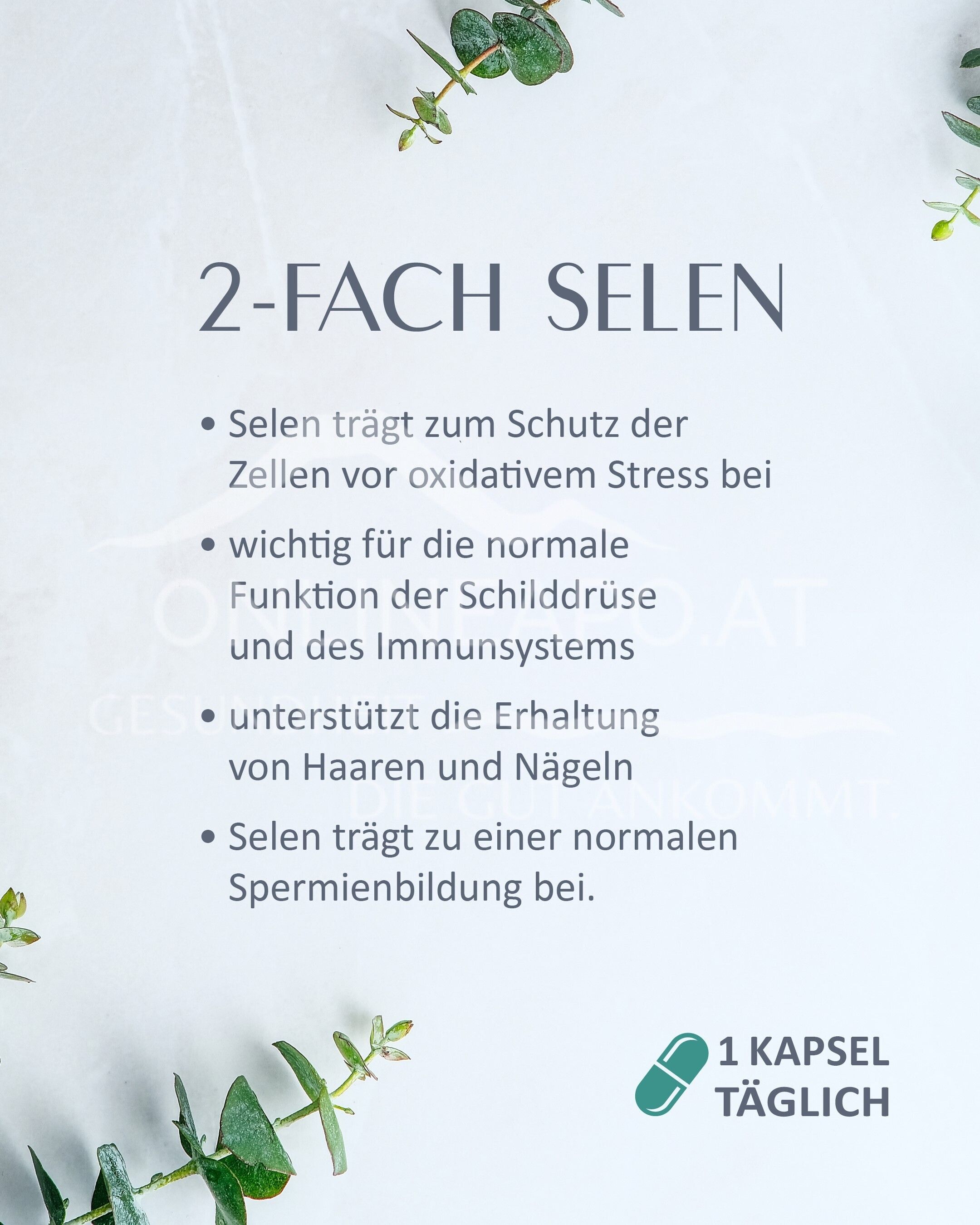 SABE sana Selen+ Kapseln
