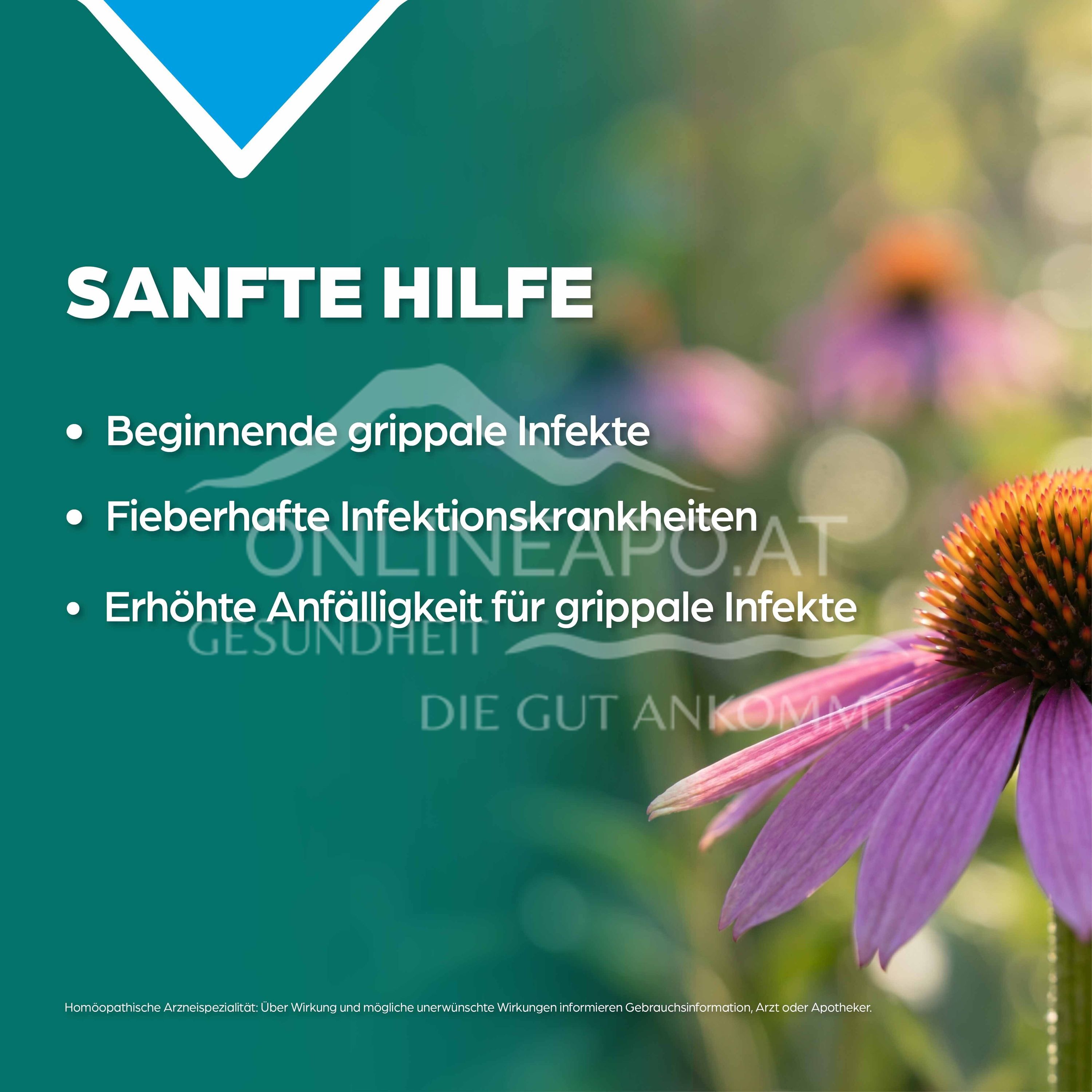 Apozema® No. 51: Triad globules to boost the body's defences Echinacea purpurea D4/D6/D12