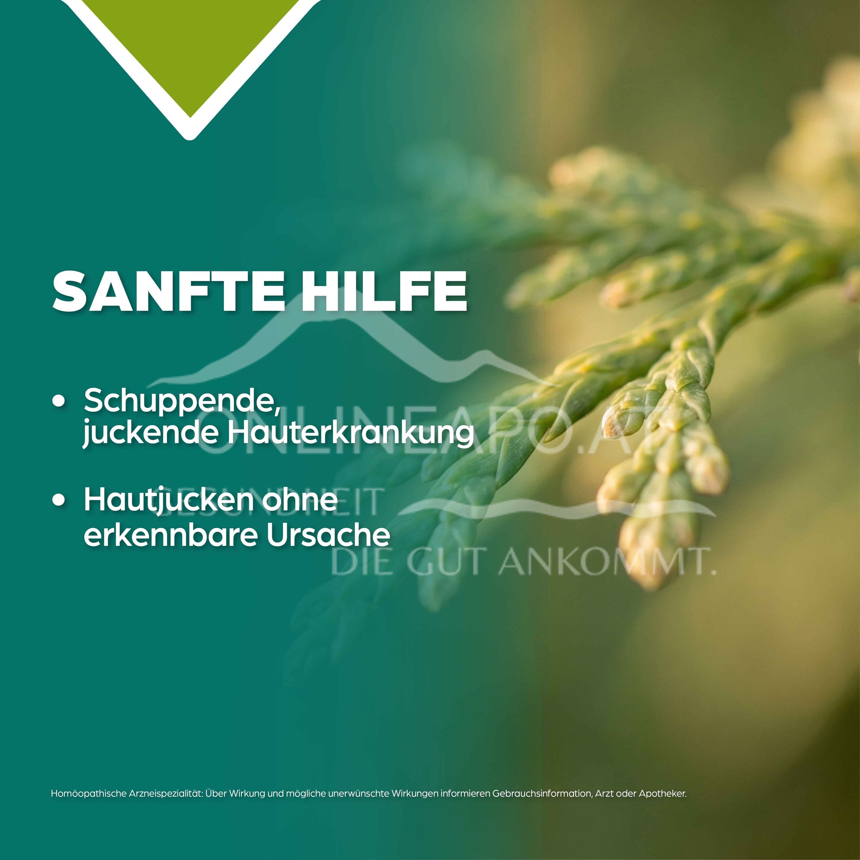 Apozema® Psoriasis Thuja complex No. 40 drops for oral use