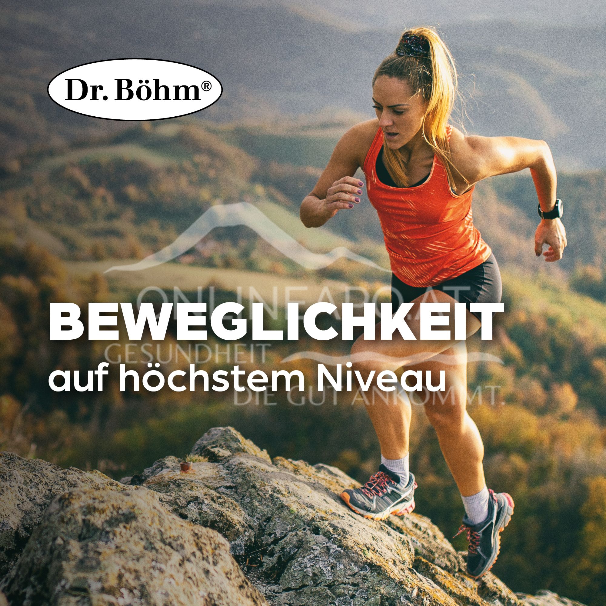 Dr Böhm® Gelenks complex film-coated tablets