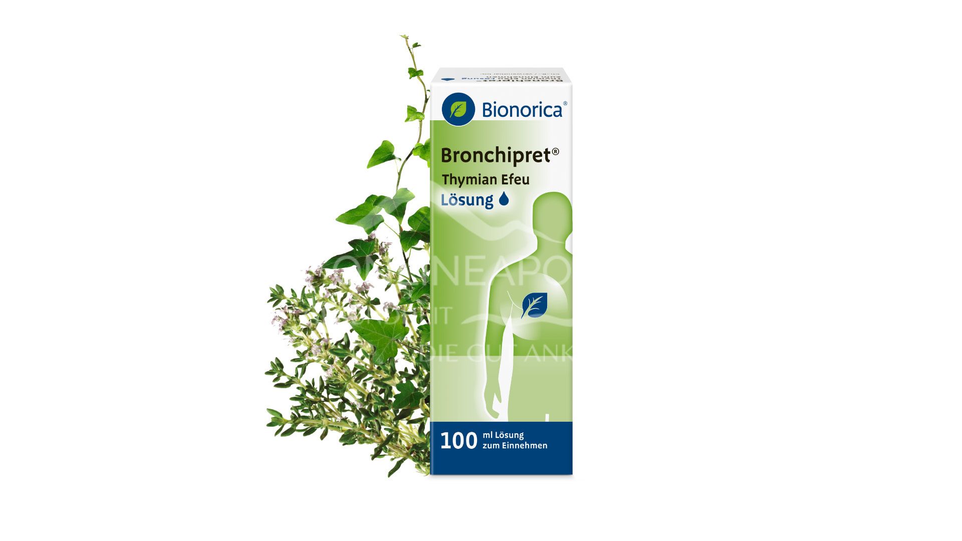 Bronchipret® solution