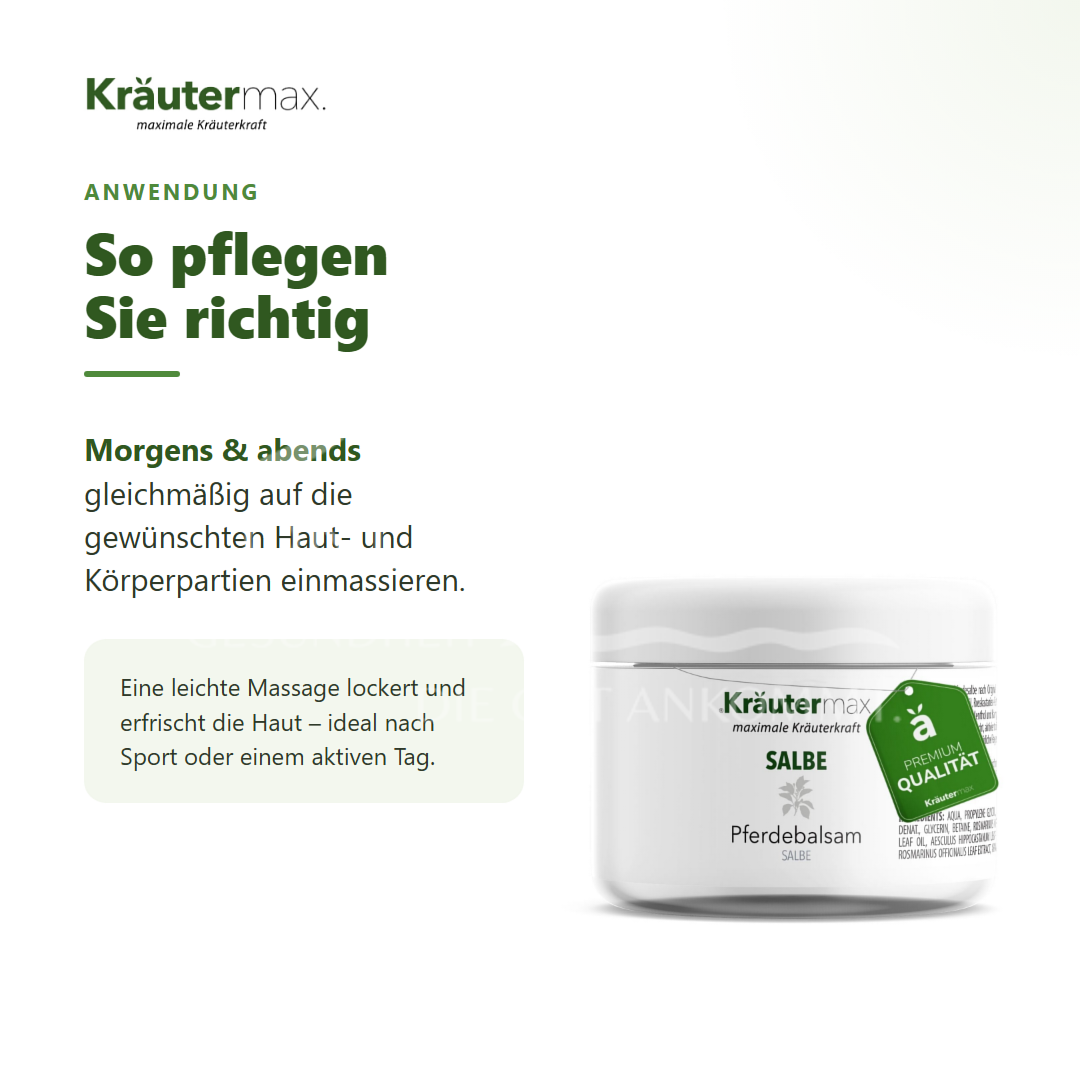 Kräutermax Pferdebalsam