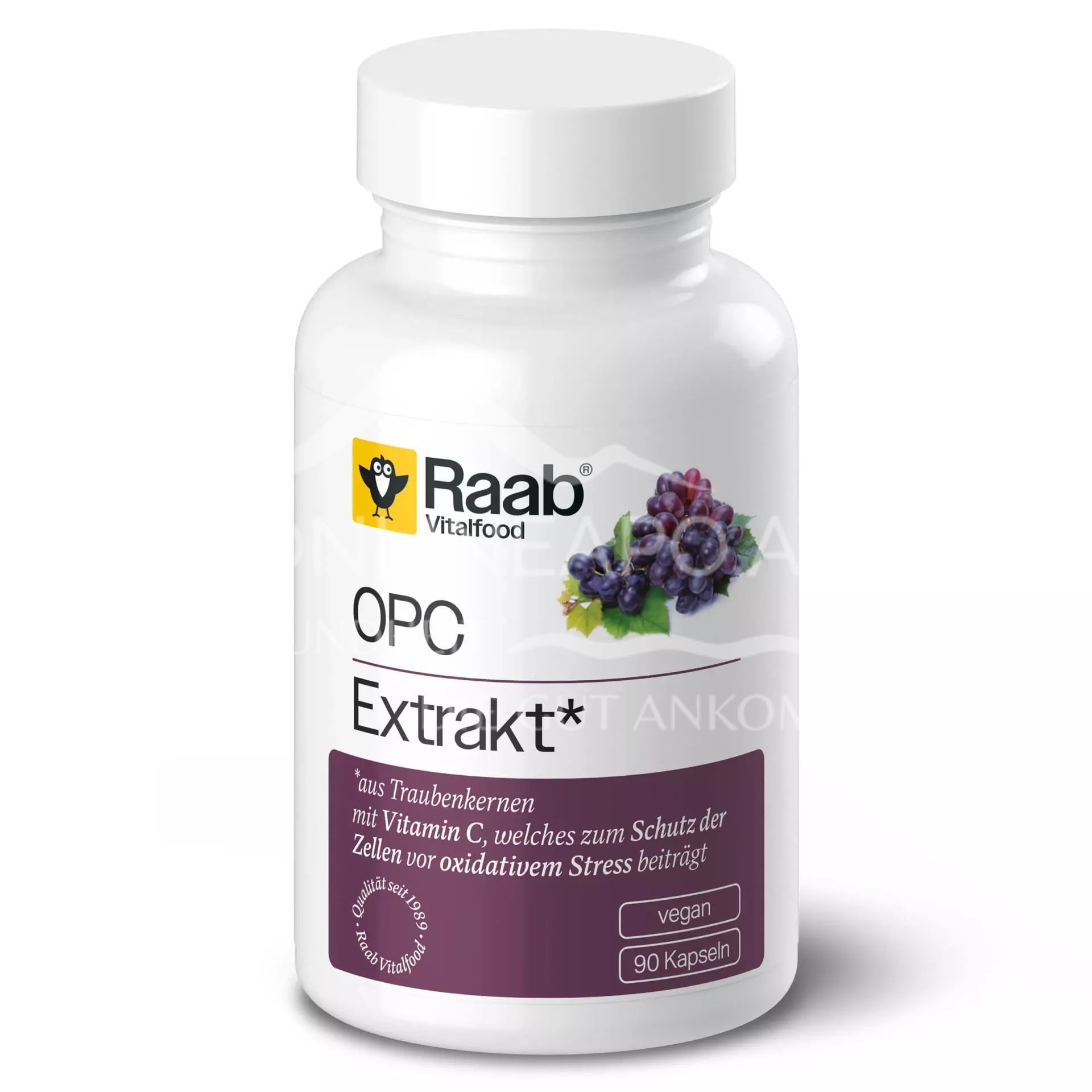 Raab® Vitalfood OPC Extract* Capsules