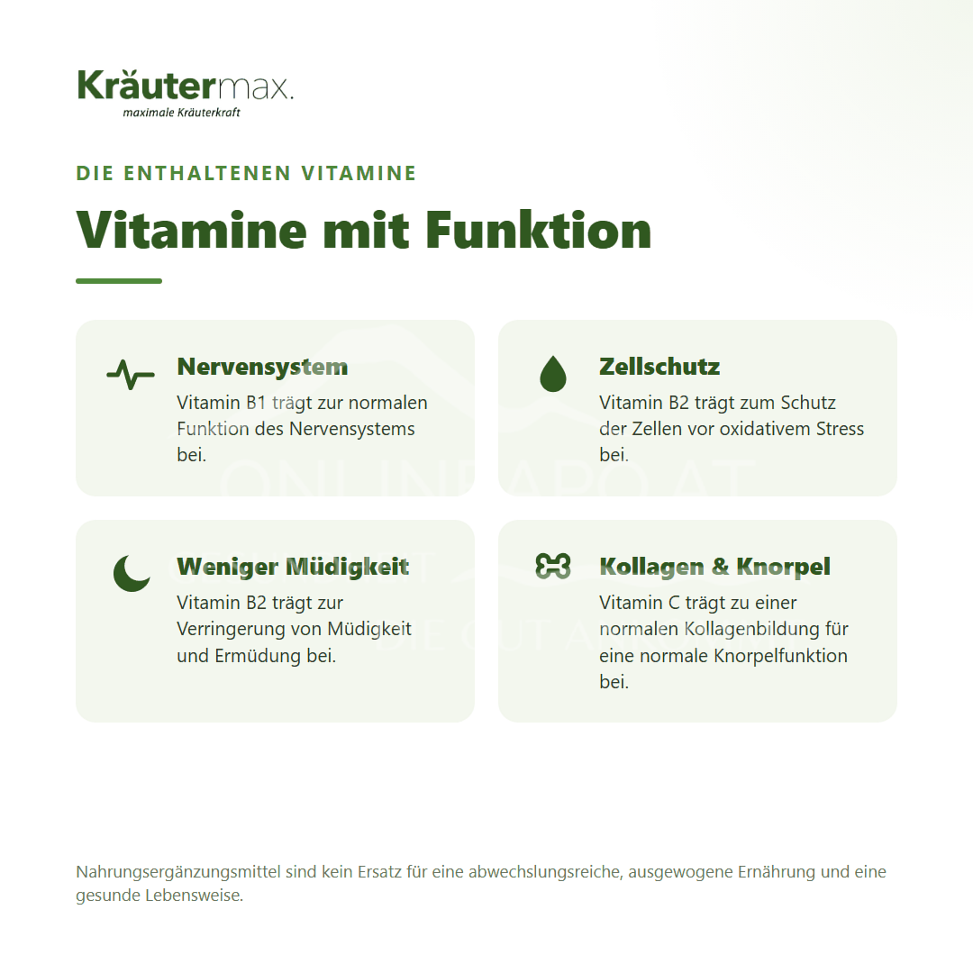 Kräutermax Bacopa Monnieri Extrakt Kapseln