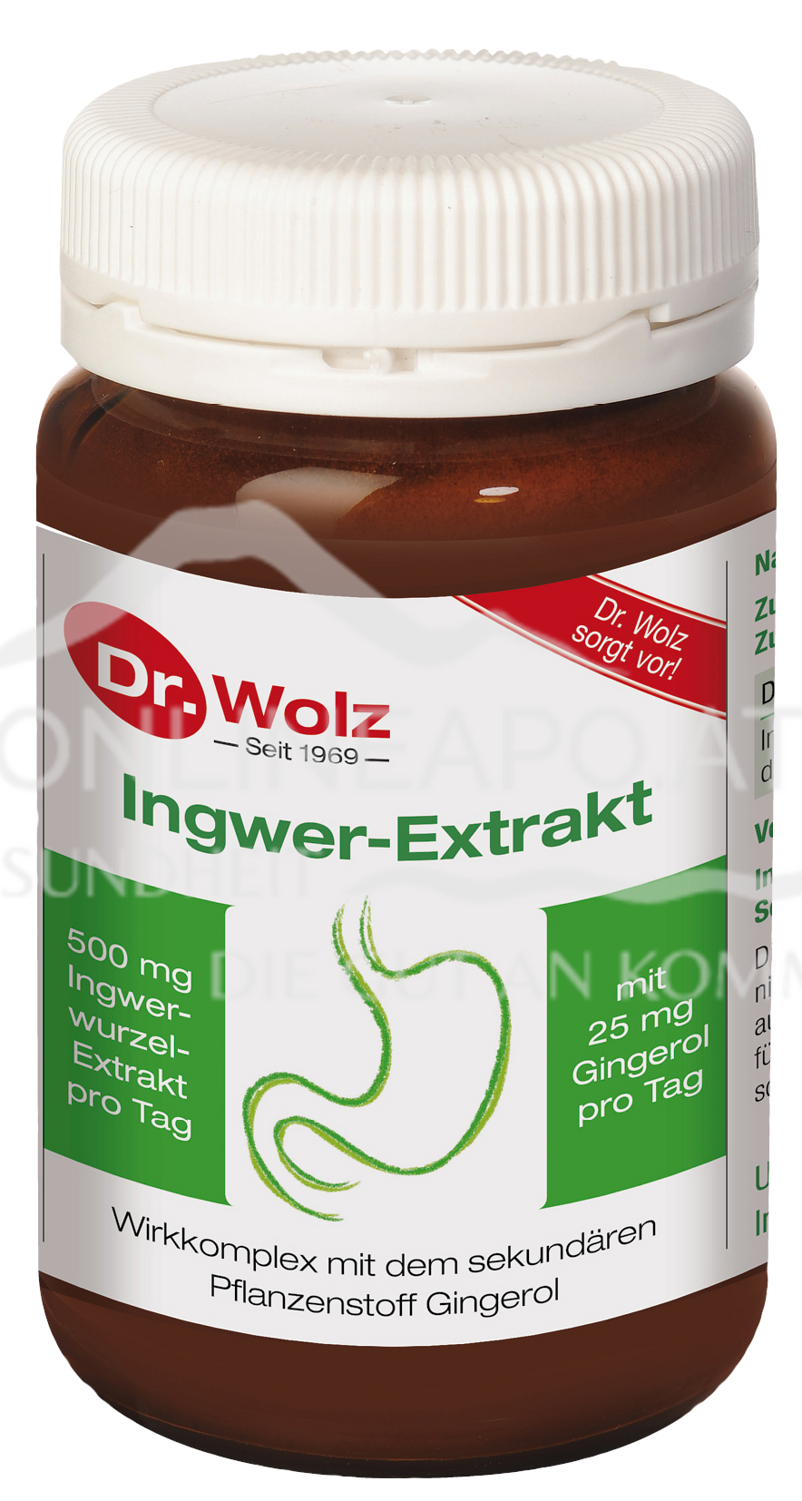 Dr. Wolz Ingwer - Extrakt Kapseln