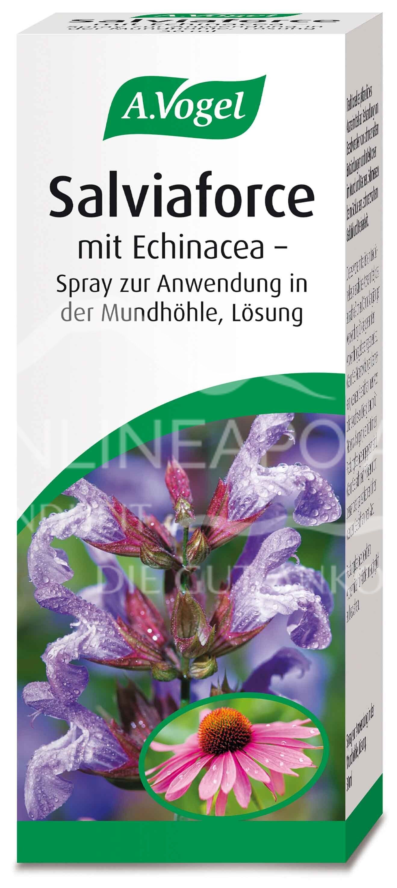 A.Vogel Salviaforce mit Echinacea Spray zur Anwendung in der Mundhöhle, Lösung